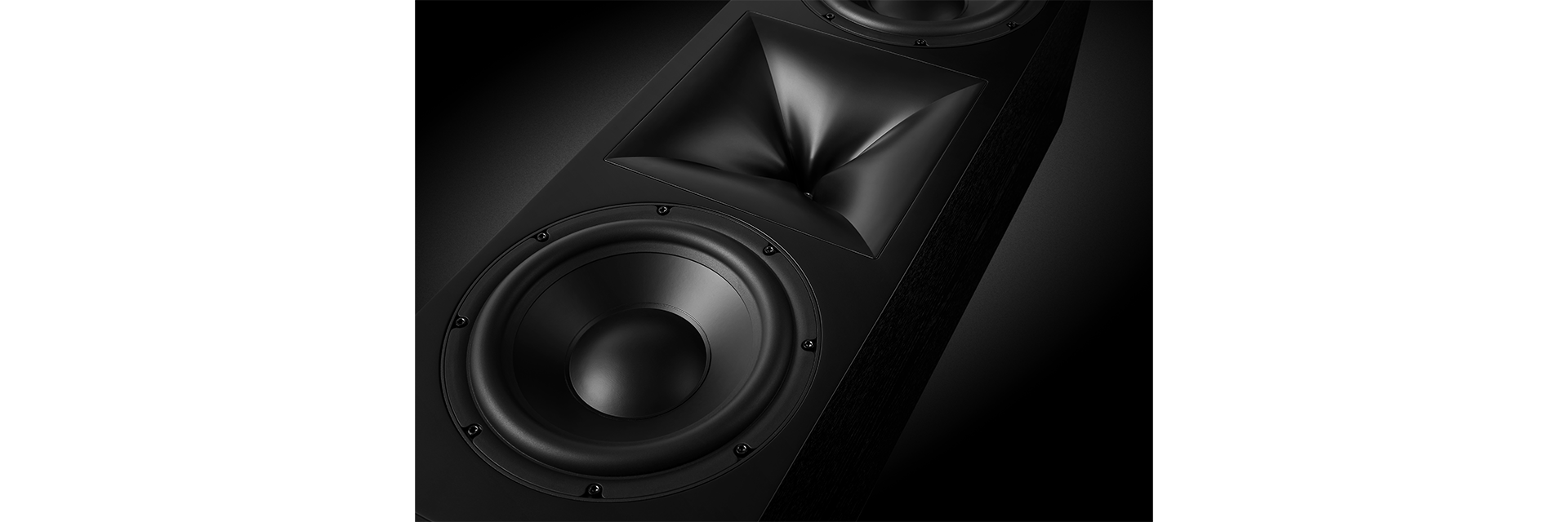 Dual 10-inch (250mm) Carbon Cellulose Composite Cone (C4), cast-frame woofers
